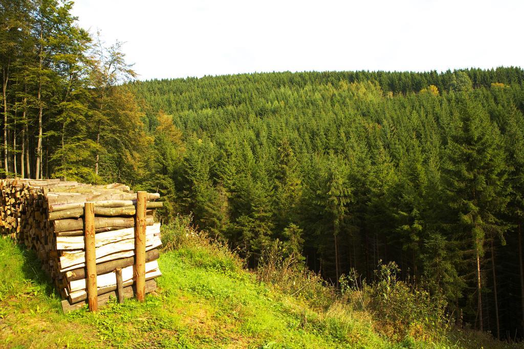 Pension Zueschener Bauernstuben Winterberg Bagian luar foto